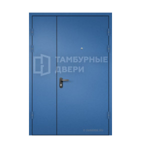 Дверь тамбурная ТД-241